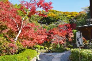 野崎観音